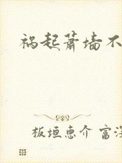 祸起萧墙不知戢