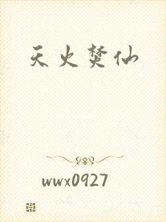 天火焚仙