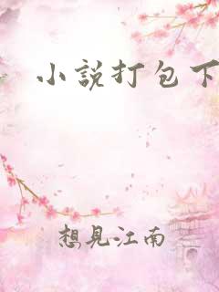 小说打包下载