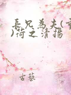 长兄为夫(重生)荷之清扬