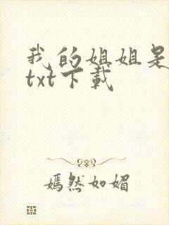 我的姐姐是美女txt下载
