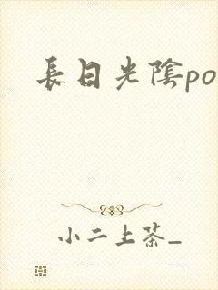 长日光阴po