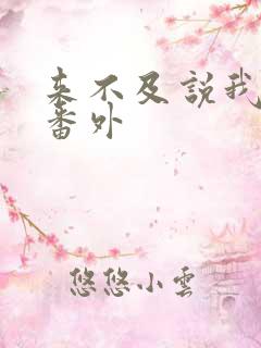 来不及说我爱你番外