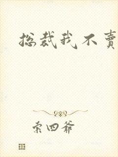 总裁我不卖宝宝