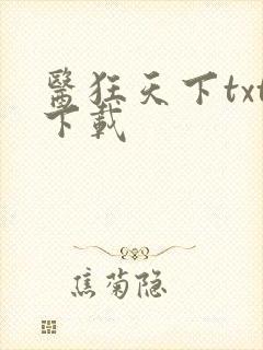 医狂天下txt下载