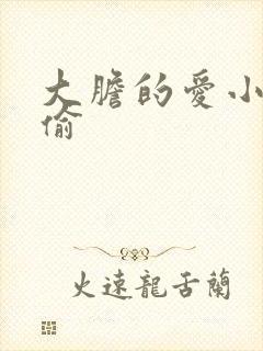 大胆的爱小心的偷