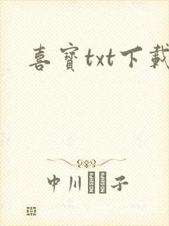 喜宝txt下载