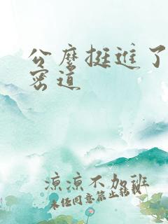 公么挺进了我的密道