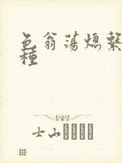 色翁荡熄系列借种