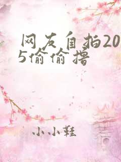 网友自拍2015偷偷撸