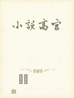小说高官