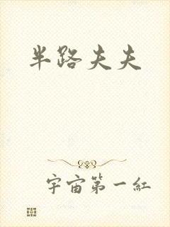 半路夫夫