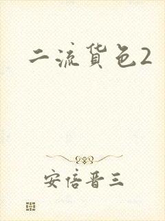 二流货色2