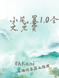 小风暴1.0全文免费