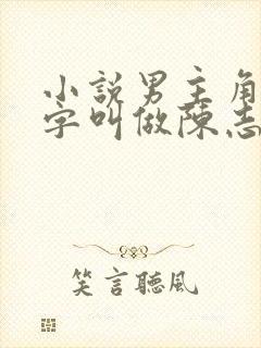 小说男主角的名字叫做陈志远