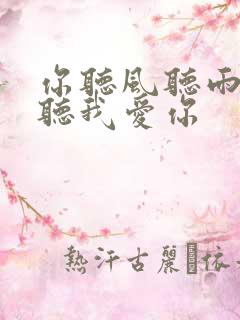 你听风听雨却不听我爱你