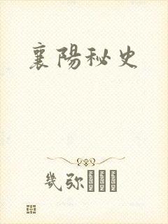 襄阳秘史
