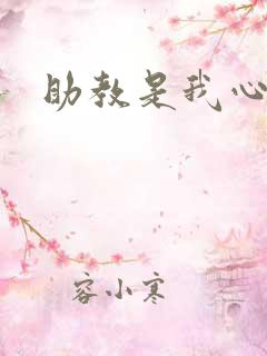 助教是我心尖宠