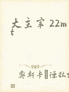 大主宰 22mt