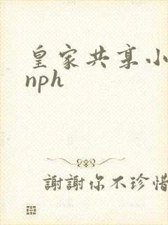 皇家共享小公主nph