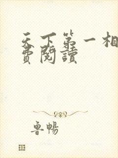 天下第一相书免费阅读