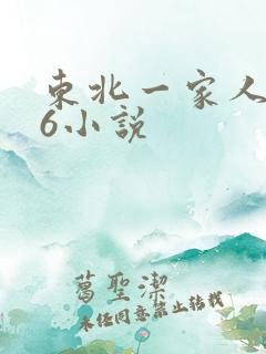 东北一家人1一6小说