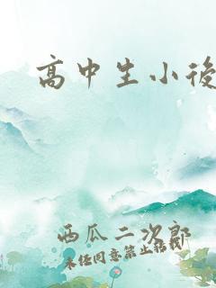高中生小后妈