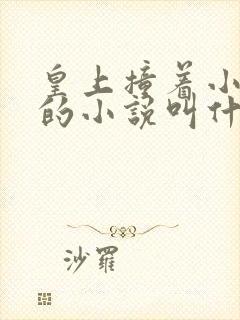 皇上撞着小公主的小说叫什么