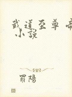 武道至尊 帝临 小说