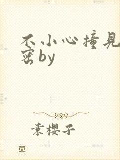 不小心撞见的秘密by
