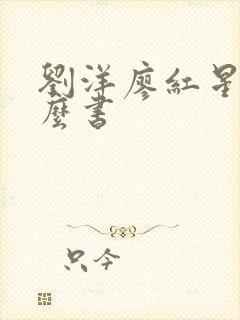 刘洋廖红星是什么书