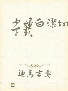 少妇白洁txt下载