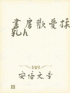 书房欢爱揉捏娇乳h