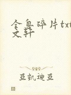 全息碎片txt文轩