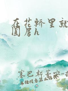 在花轿里就开始圆房h