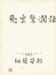 飞云惊澜录