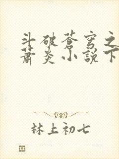 斗破苍穹之重生萧炎小说下载