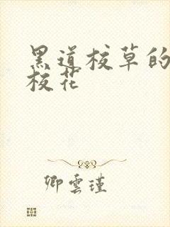 黑道校草的黑道校花