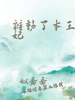 谁动了本王的悍妃