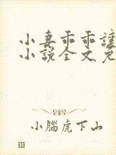 小妻乖乖让我宠小说全文免费阅读