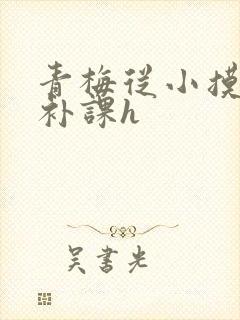青梅从小摸到大补课h