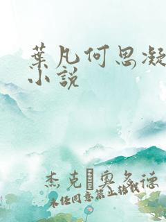 叶凡何思凝七月小说