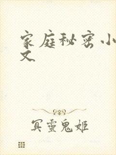 家庭秘密小说全文