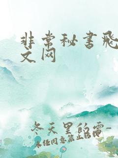 非常秘书飞速中文网