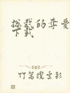 总裁的夺爱游戏下载