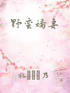 野蛮娇妻
