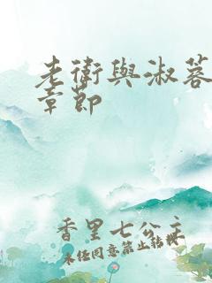 老卫与淑蓉全部章节