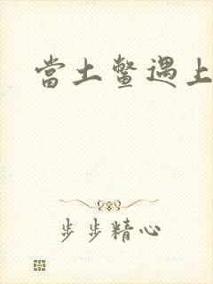 当土鳖遇上海龟