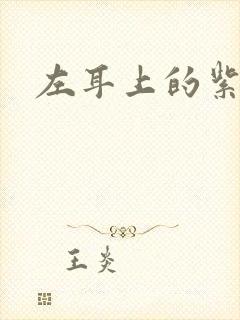 左耳上的紫水晶