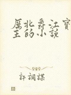 厉北爵江宝宝男主的小说